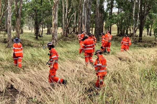 A field with trees dotted throughout it, and over 10 ses members in orange uniforms search, fanned out across the landscape