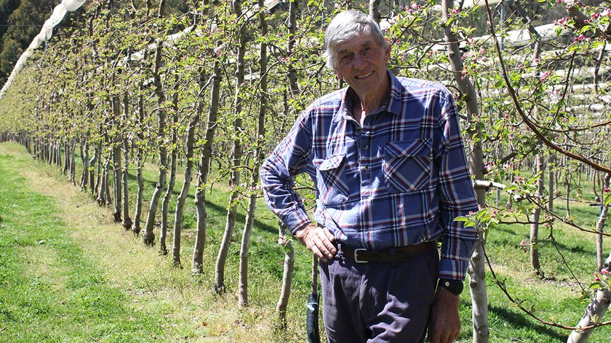 Henry Hilton stands in front of an orchard.
