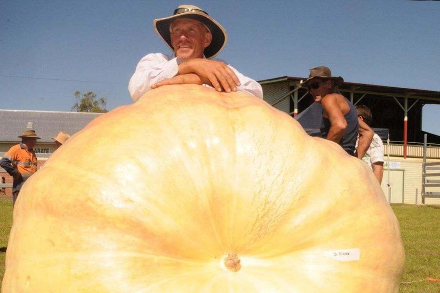 Grower Dale Oliver from Luckrow New South Wales stands in front of the heaviest pumpkin in Australia