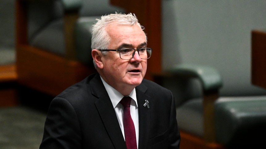 Andrew Wilkie stands in parliament.