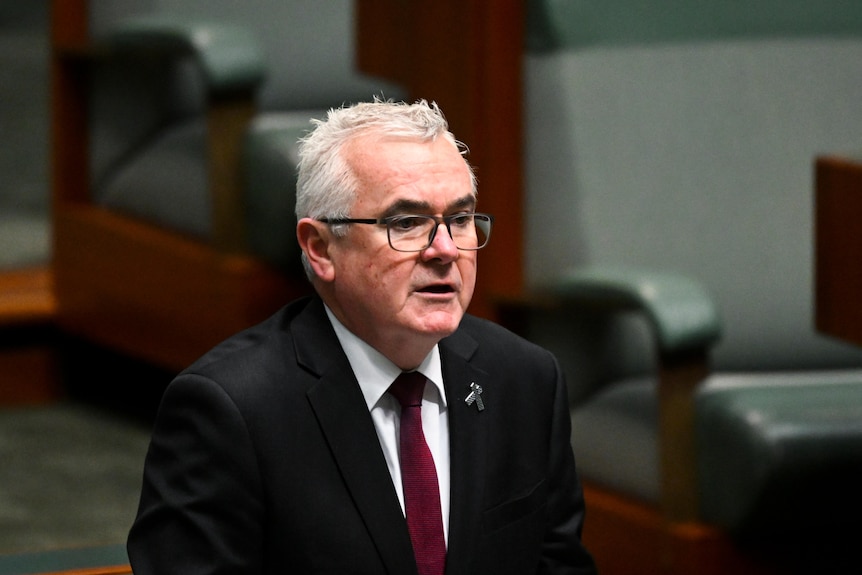 Andrew Wilkie stands in parliament.