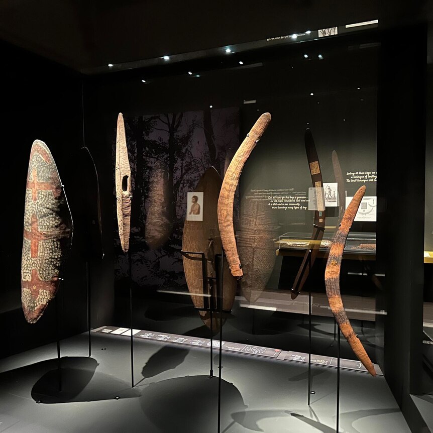 boomerangs and shields on display 