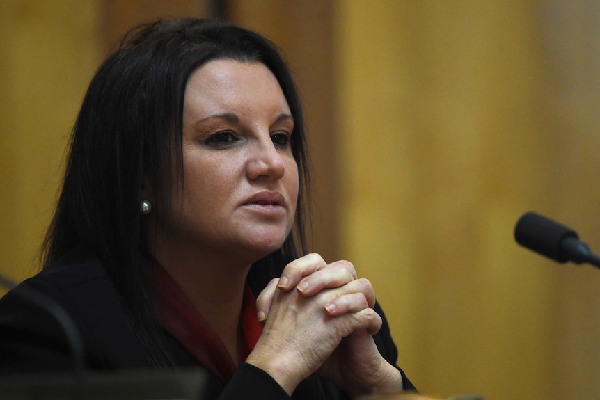 Jacqui Lambie speaks in Committee