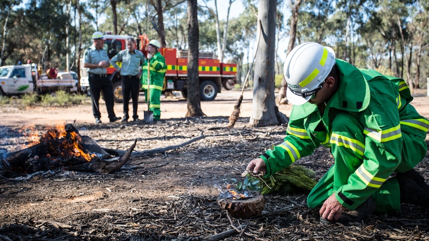 Rhys Cooper crouches over an Indigenous Tarnook, used as a "warning system" to alert animals to a prescribed burn.