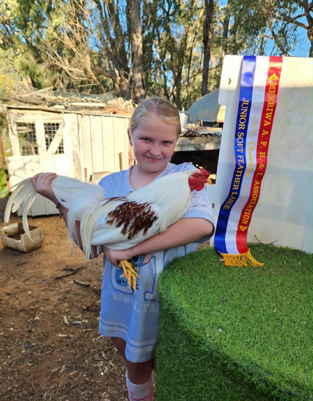 10-year-old wins champion double at Sydney Royal Show poultry ...