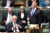 Malcolm Turnbull listens to Joe Hockey in Question Time