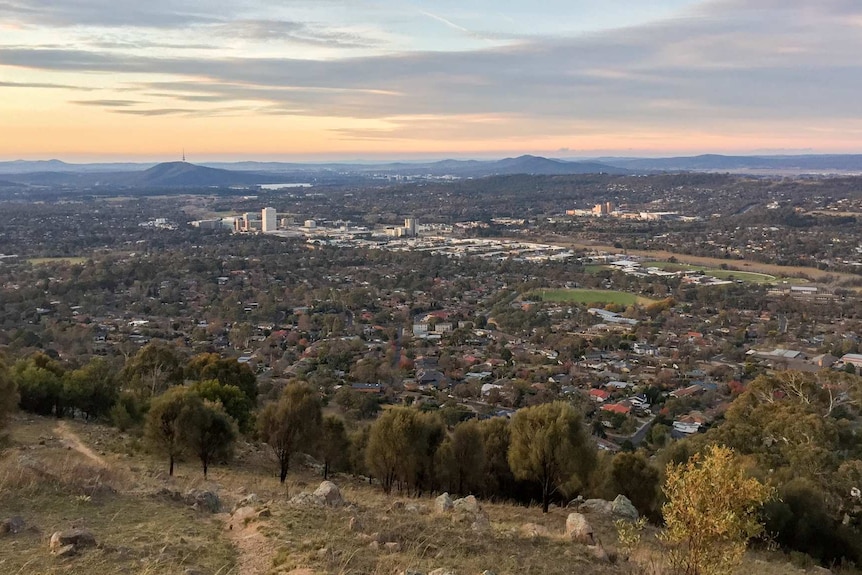 Mt Taylor view