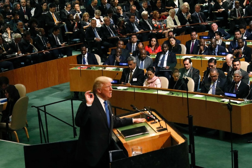 Donald Trump makes his trademark thumb-to-forefinger gesture while addressing a large crowd at the UN.