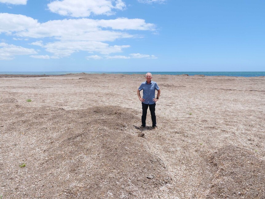 A man standing in the middle of a beach covered in sea grass