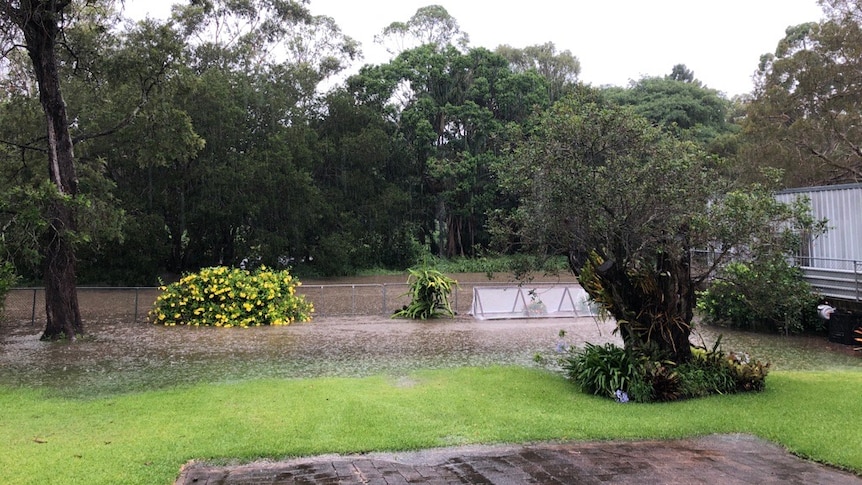 Brown storm water pooling inside the fence line of a backyard with green grass and trees.