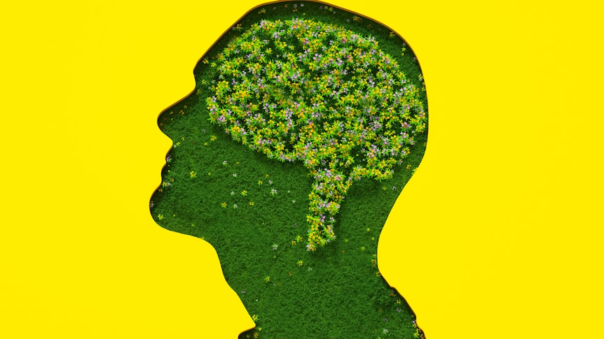 graphic of a head with grass on the inside