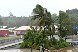Palm trees blow in strong wind as the weather closes in on Airlie Beach