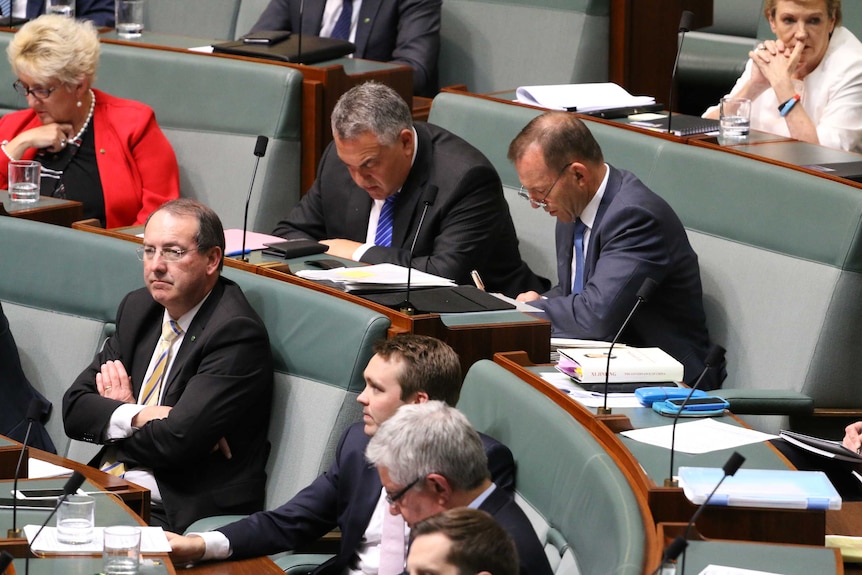 Joe Hockey and Tony Abbott in Parliament