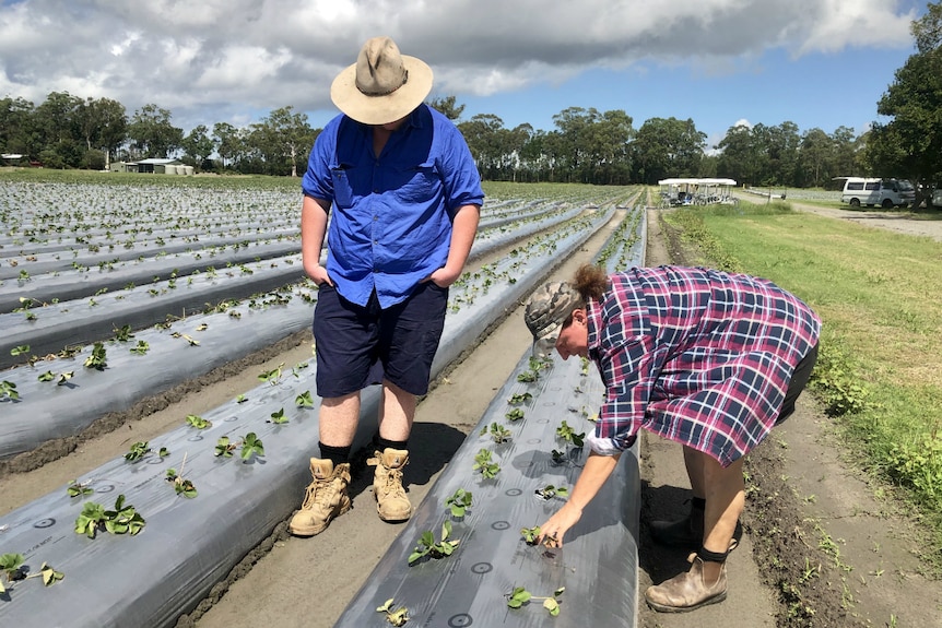 A man in a blue shirt looks down at his mother as she checks the new plantings.