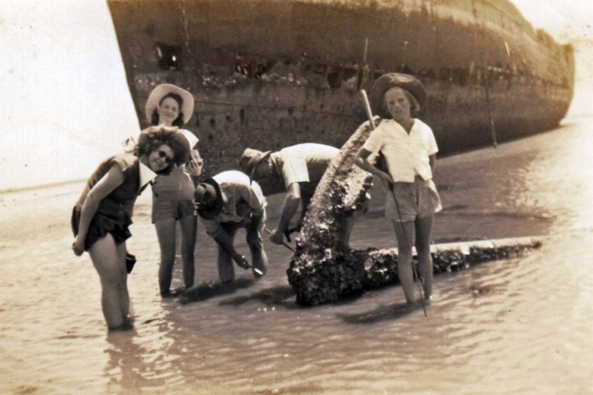 Children and young adults collect oysters from the anchor of a wrecked ship in the 1950s