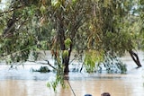 Two St George locals indulge in a spot of fishing.