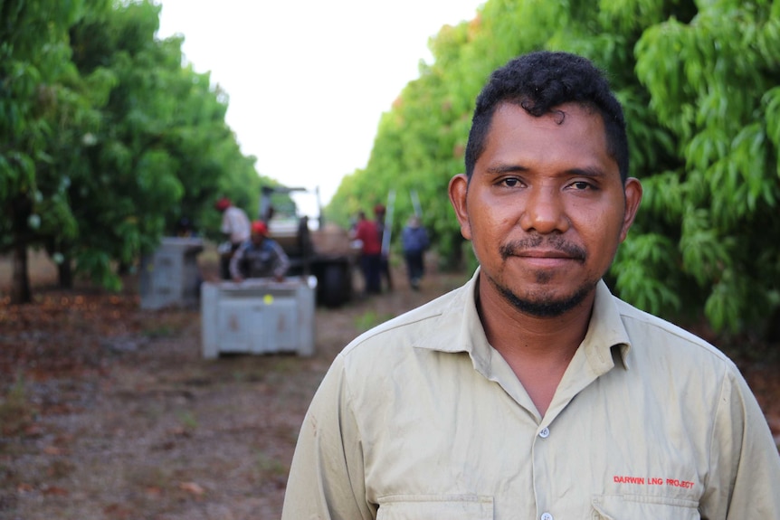 Team leader, Calisto Dossantos Dezesus in the mango orchard with workers in the background picking mangoes.