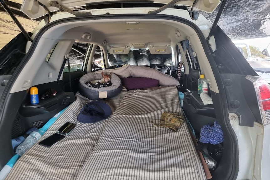 A car boot has been turned into a bed, with a small dog in a dog bed next to it.