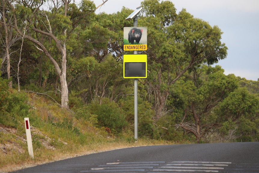 A road sign with a picture of a Tasmanian devil.