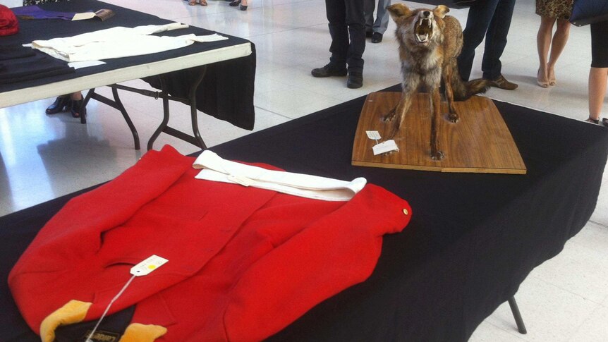 Stuffed fox and jacket from WA sport memorabilia collection