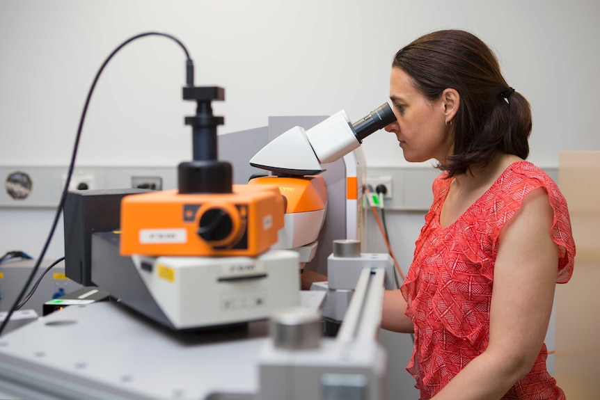 Jodie Bradby looks into a microscope.