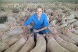 Edwina Beveridge pig farmer