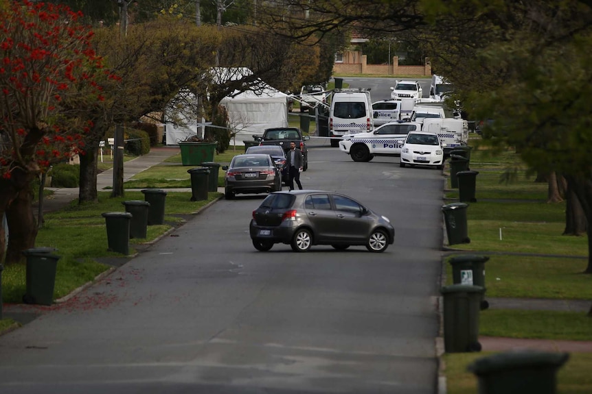 Police cars at the end of a suburban street with large trees and green lawns.