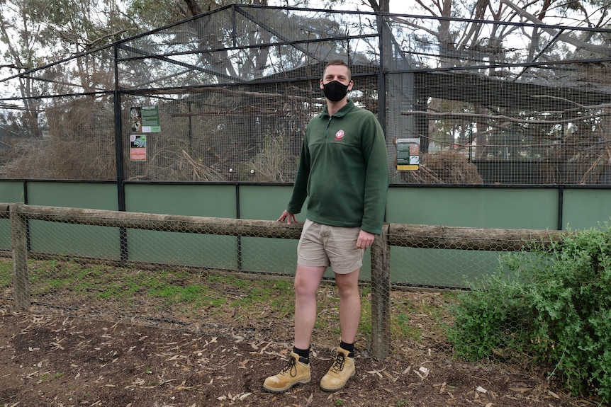 A man wearing a mask standing in front of an animal enclosure.