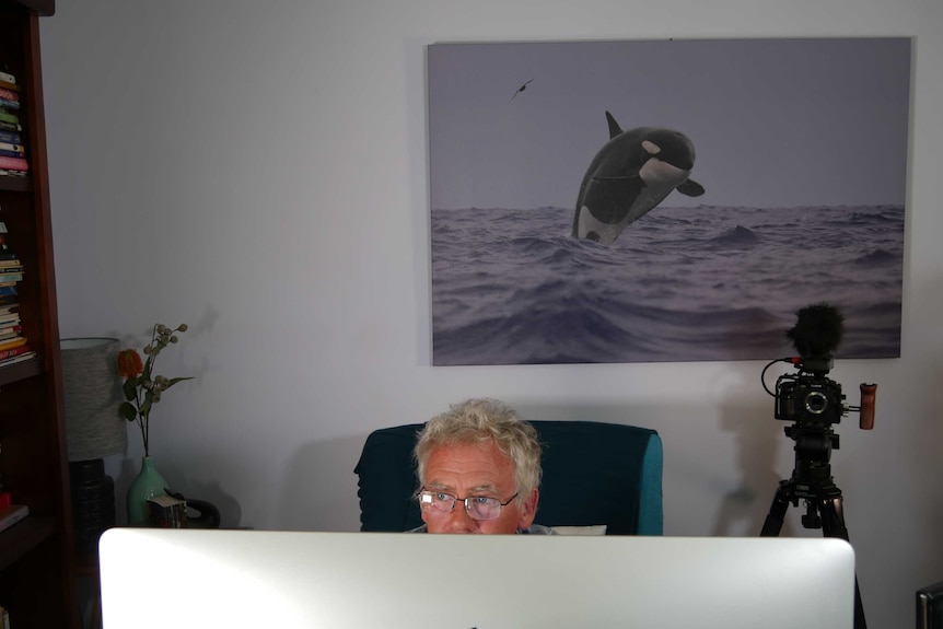 Dave Riggs works at his computer, a picture of a breaching orca hangs behind him
