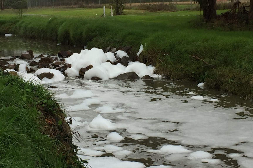 Foam on the Dandenong Creek at Heathmont.