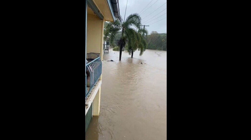 Ingham local stranded since Saturday films floodwaters - ABC News