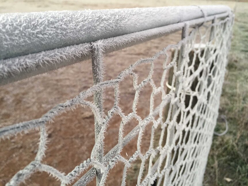 Frost in Canberra