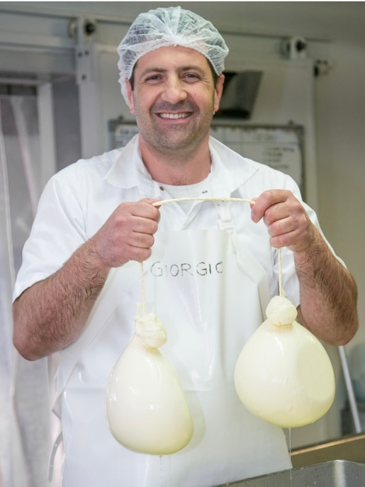 A man, making cheese, holds two large white bundles.