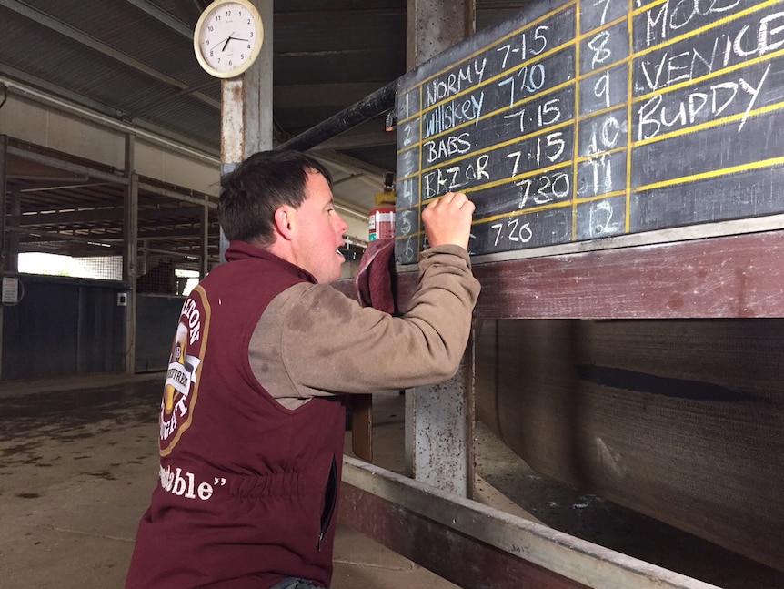 Steven Payne at Darren Weir's stables