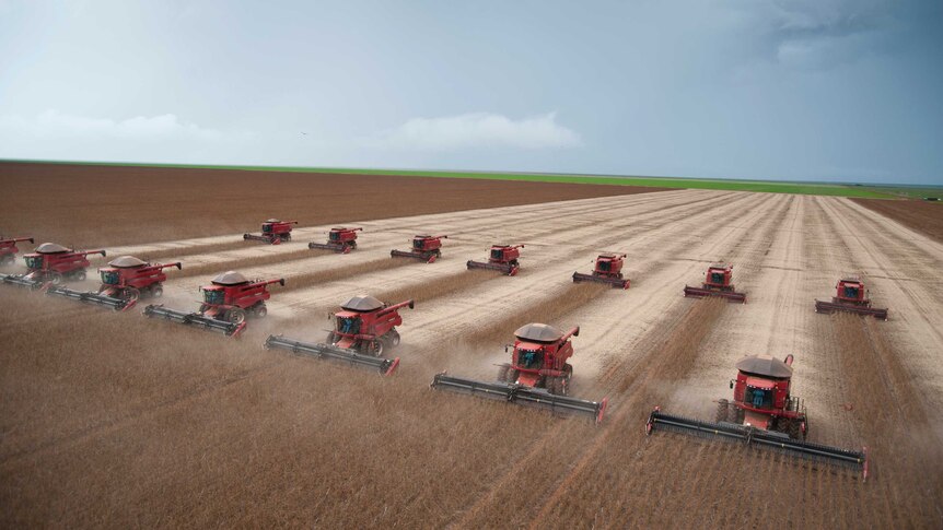 Fourteen combine harvesters clearing a soy field.