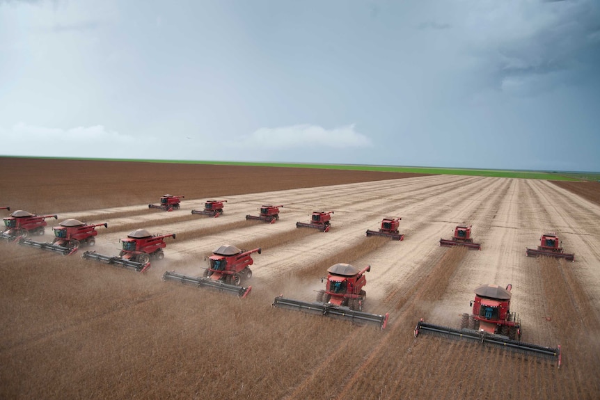 Harvesters working through a soy plantation.