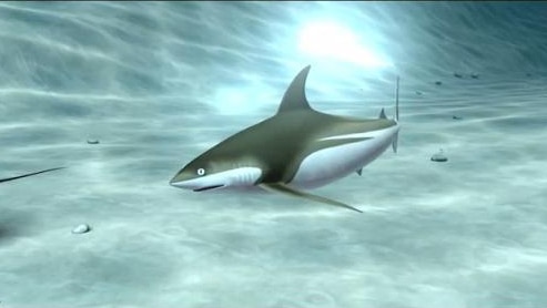 Computer image of shark underwater