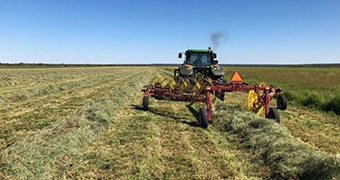 A hay producer in north Queensland