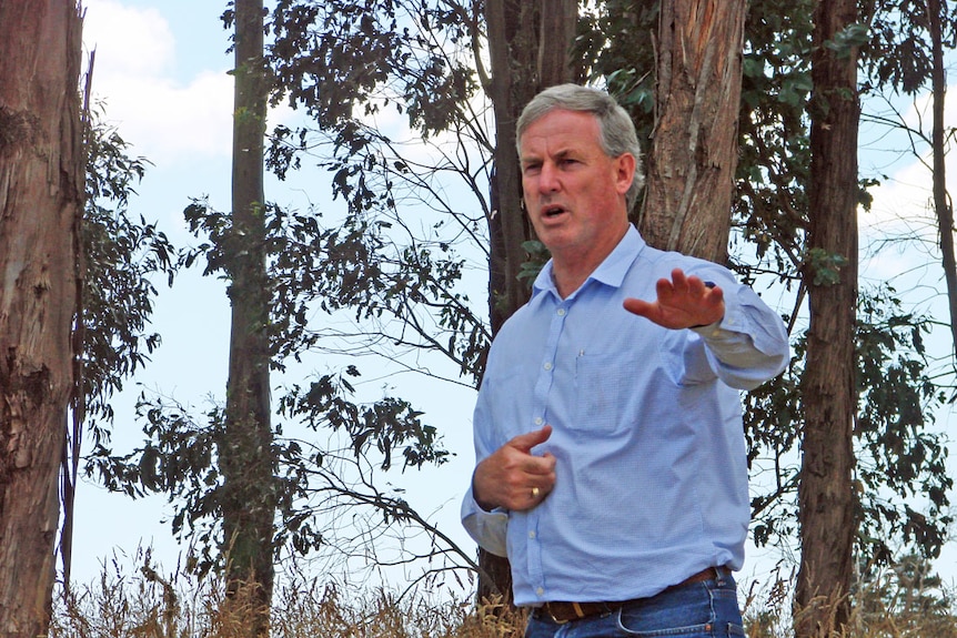 Senator Richard Colbeck wants to grow forestry