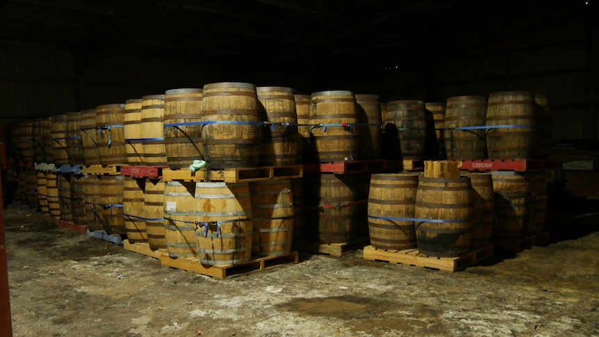 whiskey barrels in a dark room