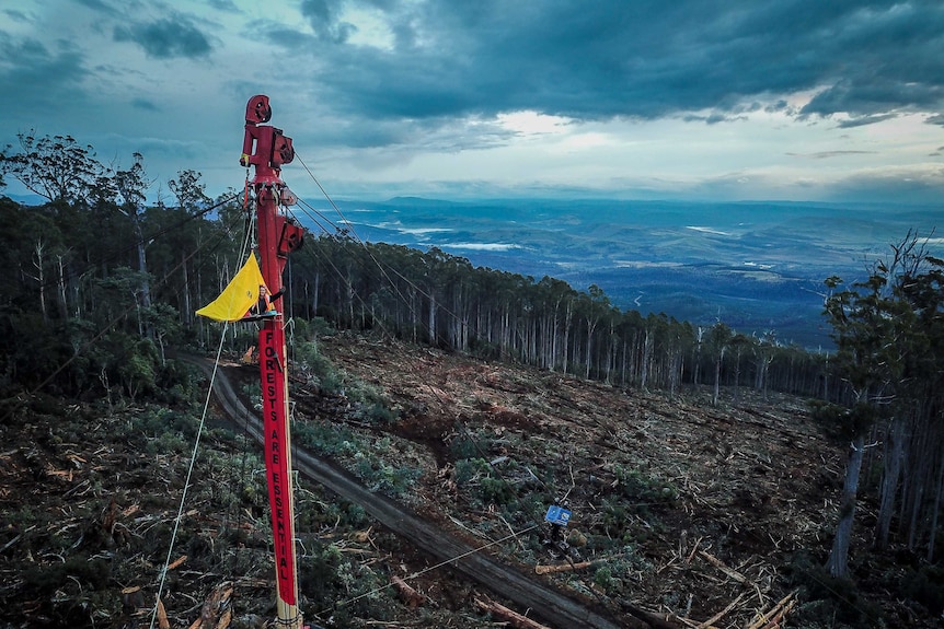 A protester on logging equipment.