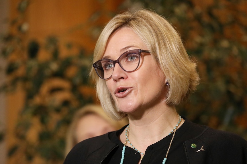 Zali Steggal speaks at a press conference at parliament house