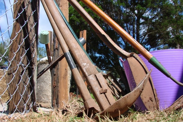 Dirty shovels, picks and gardening tools leaning against a chicken-wire fence in a yard.