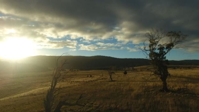 Sun shines over hill, trees in paddock in foreground