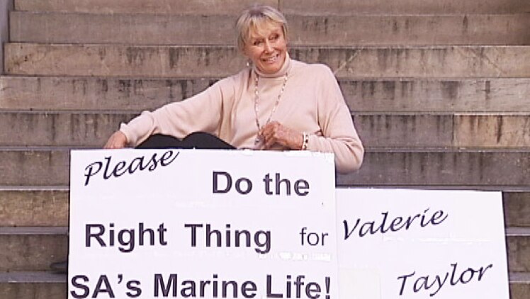 Valerie Taylor outside SA Parliament