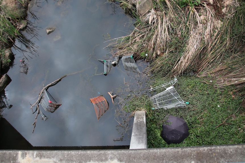 Trollies dumped in water