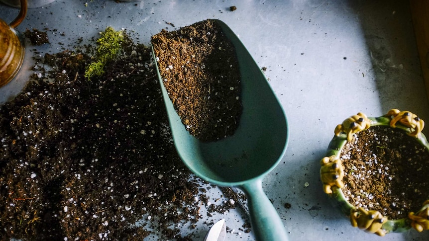 A trowel, half full of dirt, sitting on a metal bench, with dirt and plant pot beside it.