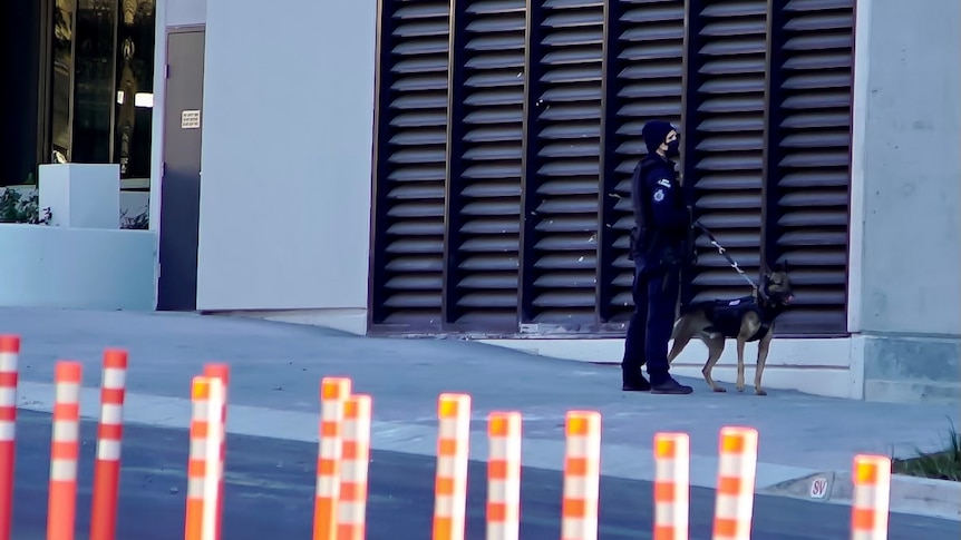 A police officer and a dog stand outside a large building.
