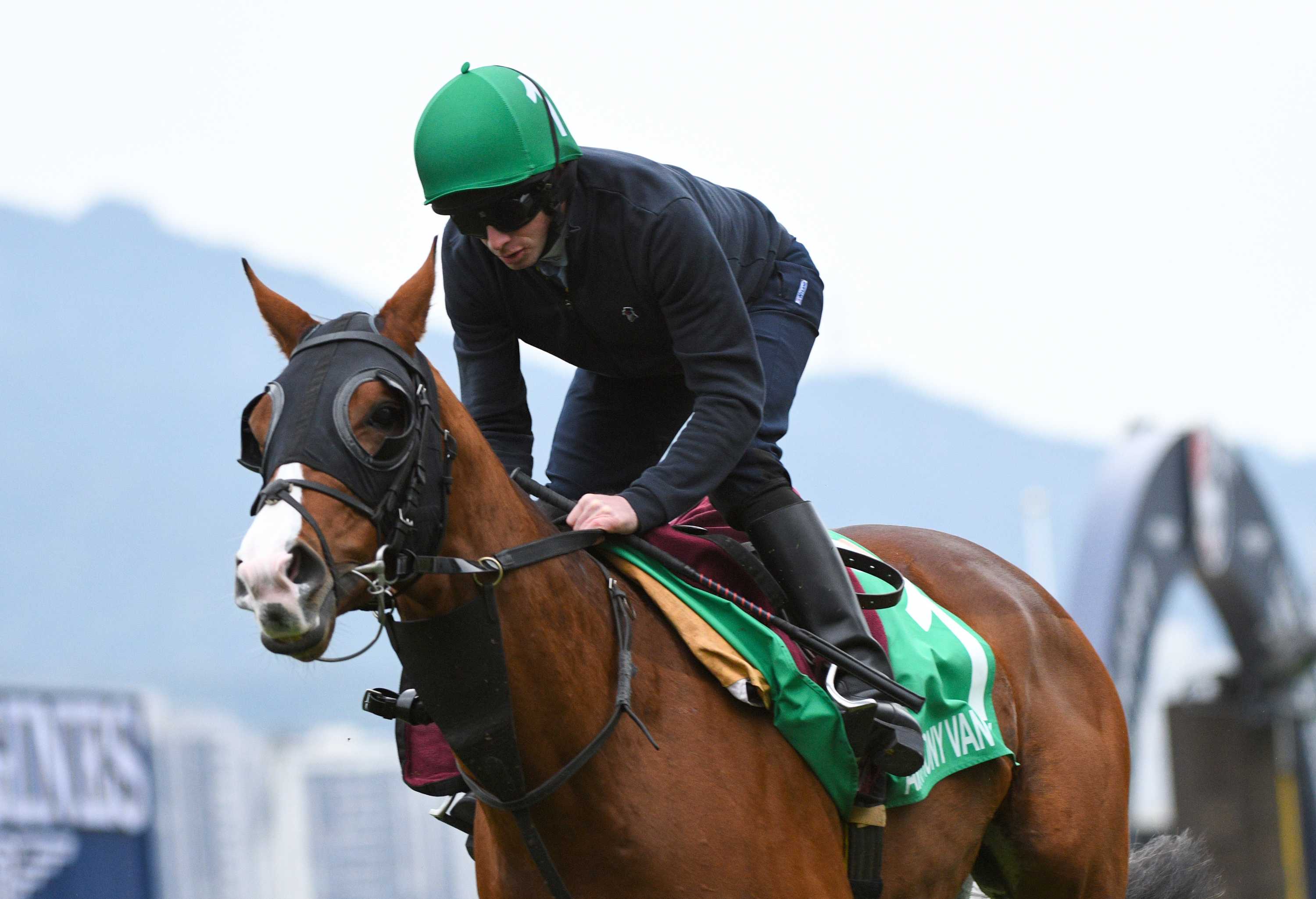 Irish Trainer Aidan O Brien S Bid For Melbourne Cup With Anthony Van Dyck And Tiger Moth Alive Despite Mixed Barrier Draw Abc News