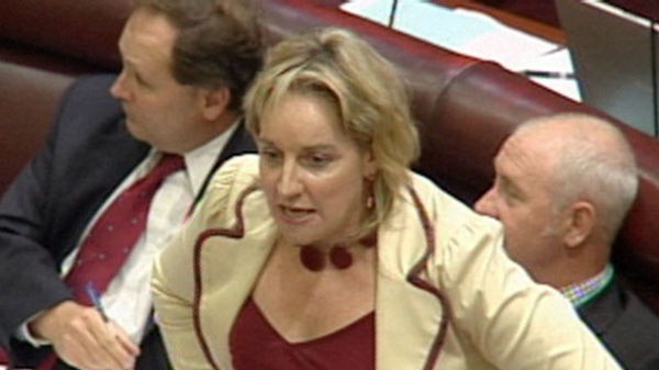 Labor frontbencher Alannah MacTiernan